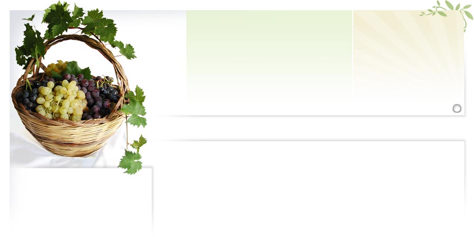 container_bg.jpg, 31709 bytes